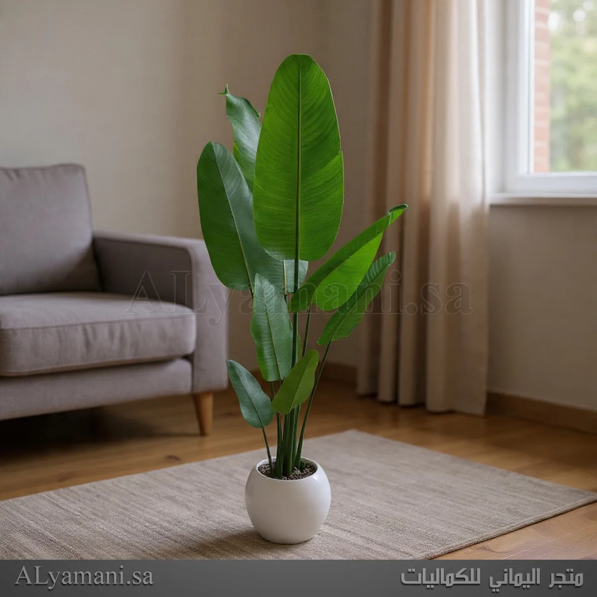 شجرة موز صناعية كبيرة 180 سم حوض ابيض