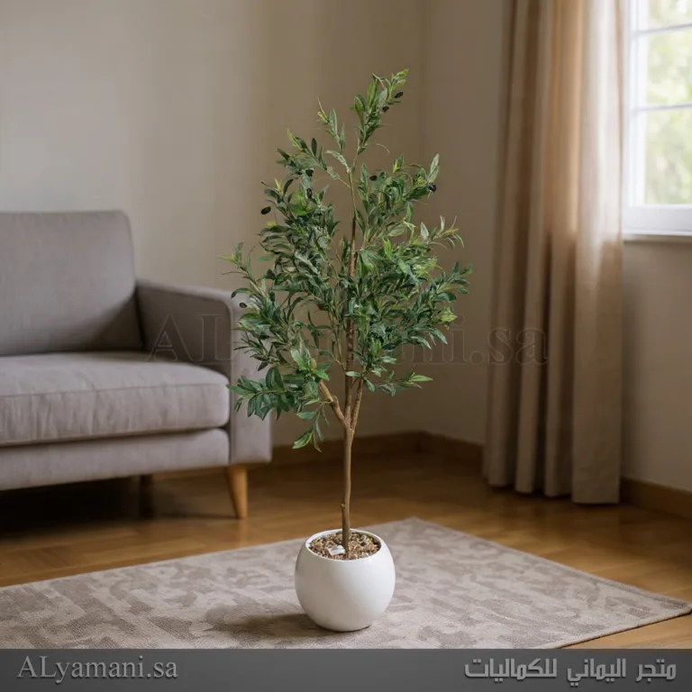 شجرة زيتون Olive صناعية كبيرة 180 سم مركن ابيض