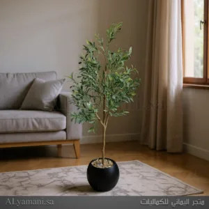 شجرة زيتون Olive صناعية كبيرة 180 سم مركن اسود