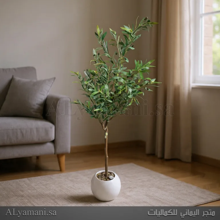 شجرة زيتون Olive صناعية متوسطة 160 سم مركن ابيض