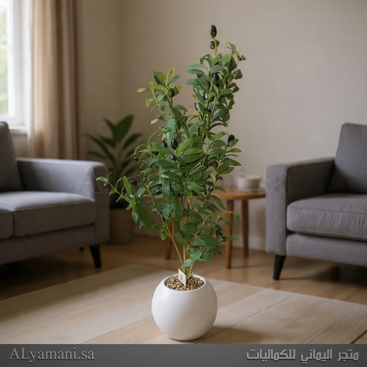 شجرة زيتون Olive صناعية صغيرة 90 سم مركن ابيض
