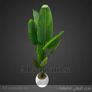 شجرة موز صناعية كبيرة 180 سم حوض ابيض