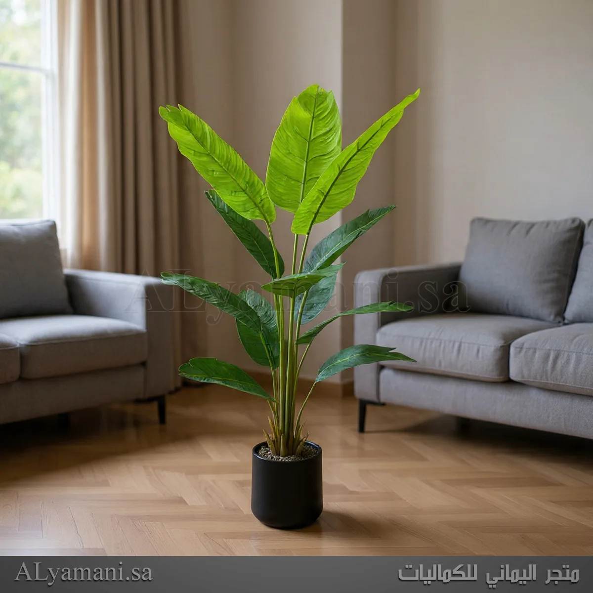 شجر موز Banana صناعي مع مركن اسود