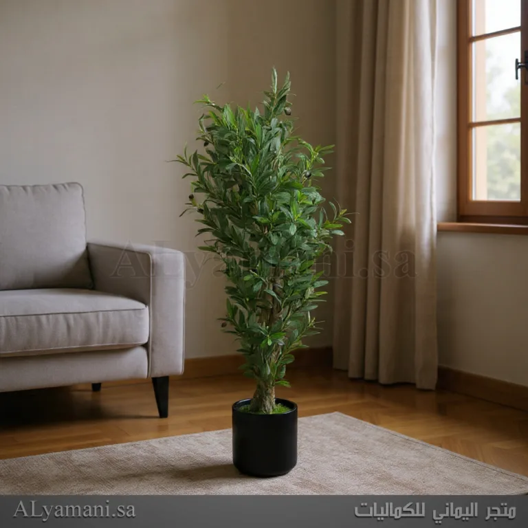 شجر زيتون Olive صناعي مع مركن اسود
