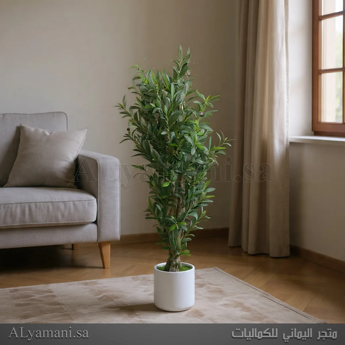 شجر زيتون Olive صناعي مع مركن ابيض