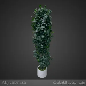 نباتات واشجار صناعية