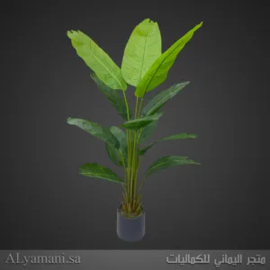 شجر موز Banana صناعي مع مركن