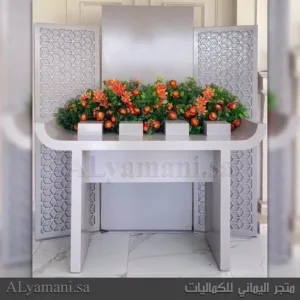 طقم استقبال مواليد ومناسبات مودرن