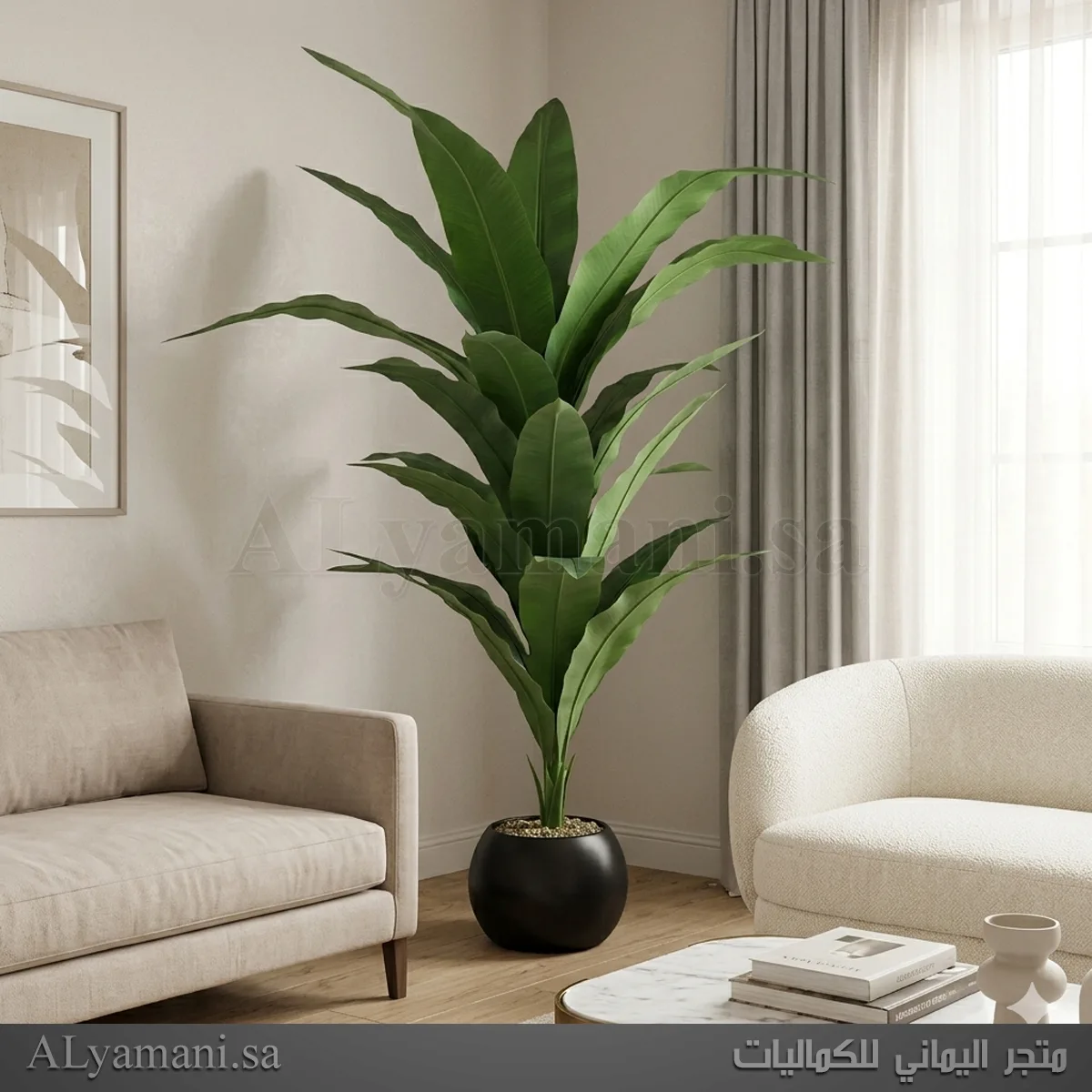 نبتة عش الطير صناعية كبيرة بمركن أسود ملكي فخم مقاسات 165 و 200 سم