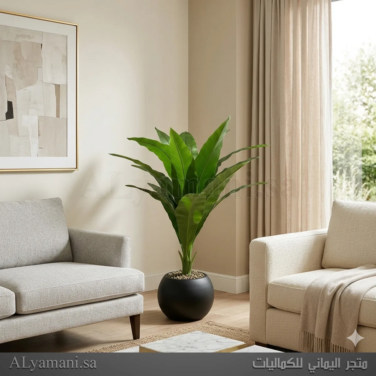 نبتة عش الطير صغيرة بمركن أسود مودرن مقاس 120 سم للديكور الداخلي المودرن