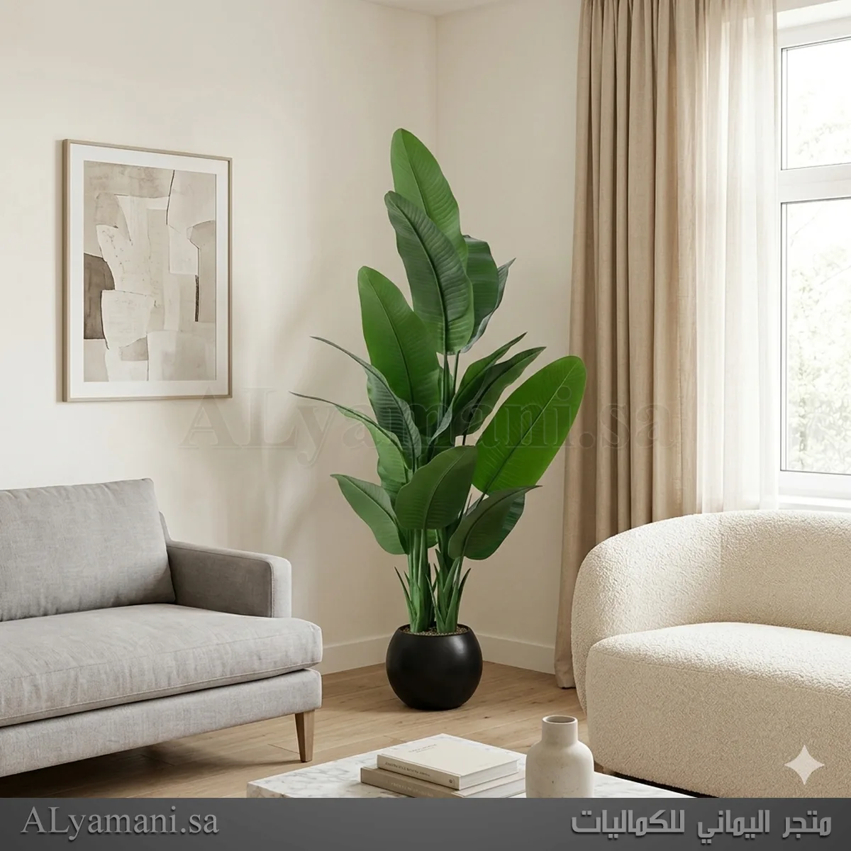 نبتة موز صناعية فخمة بمركن أسود فخم مقاس 170 سم لديكور زوايا المجالس