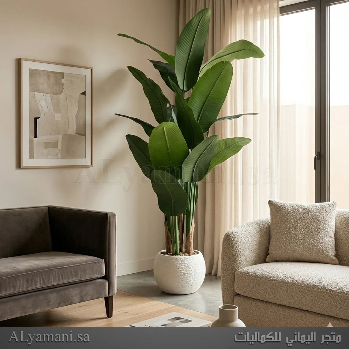 شجر موز صناعي فخم مظهر طبيعي واقعي بمركن أبيض مودرن مقاس 200 سم للفلل